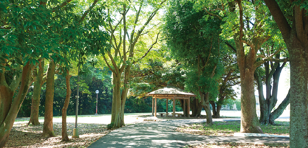 姥山貝塚公園