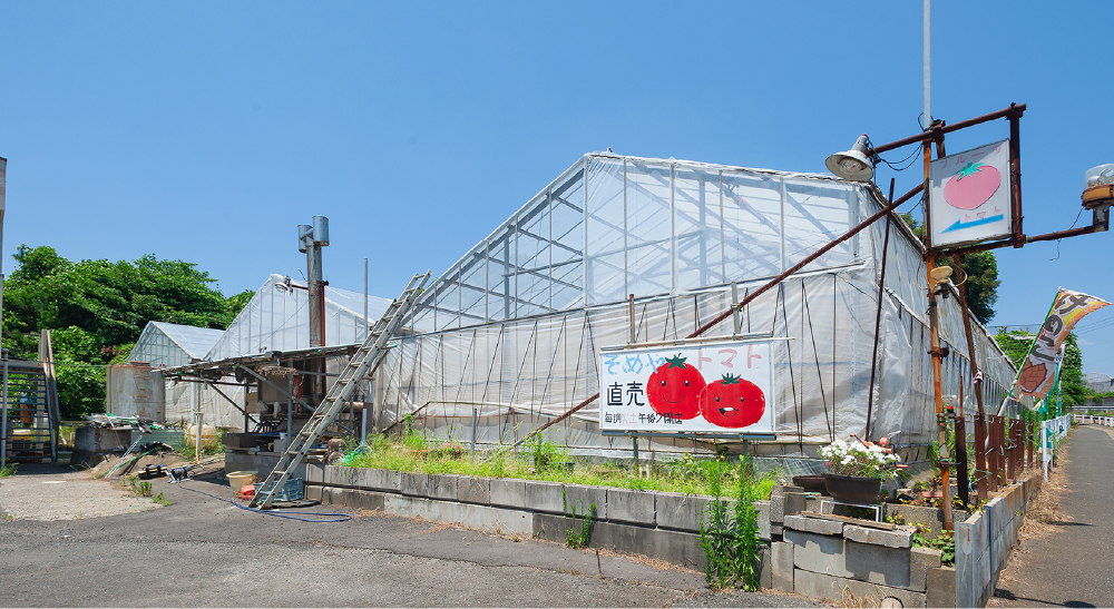 染谷トマト園