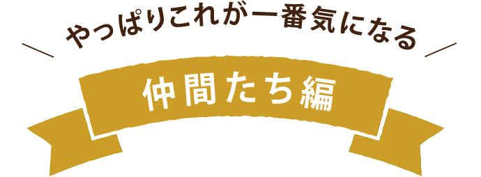 やっぱりこれが一番気になる 仲間たち編