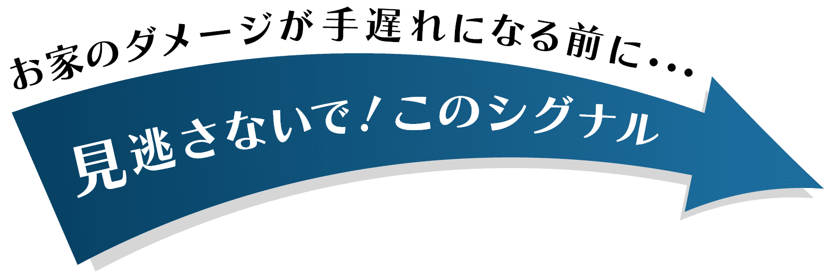 お家のダメージが手遅れになる前に…見逃さないで！このシグナル